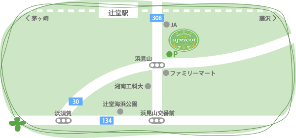 アプリコット辻堂店MAP